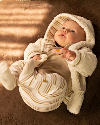 Teddy | Amalia