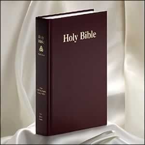 NKJV Hardcover Burgundy, Mark Finley