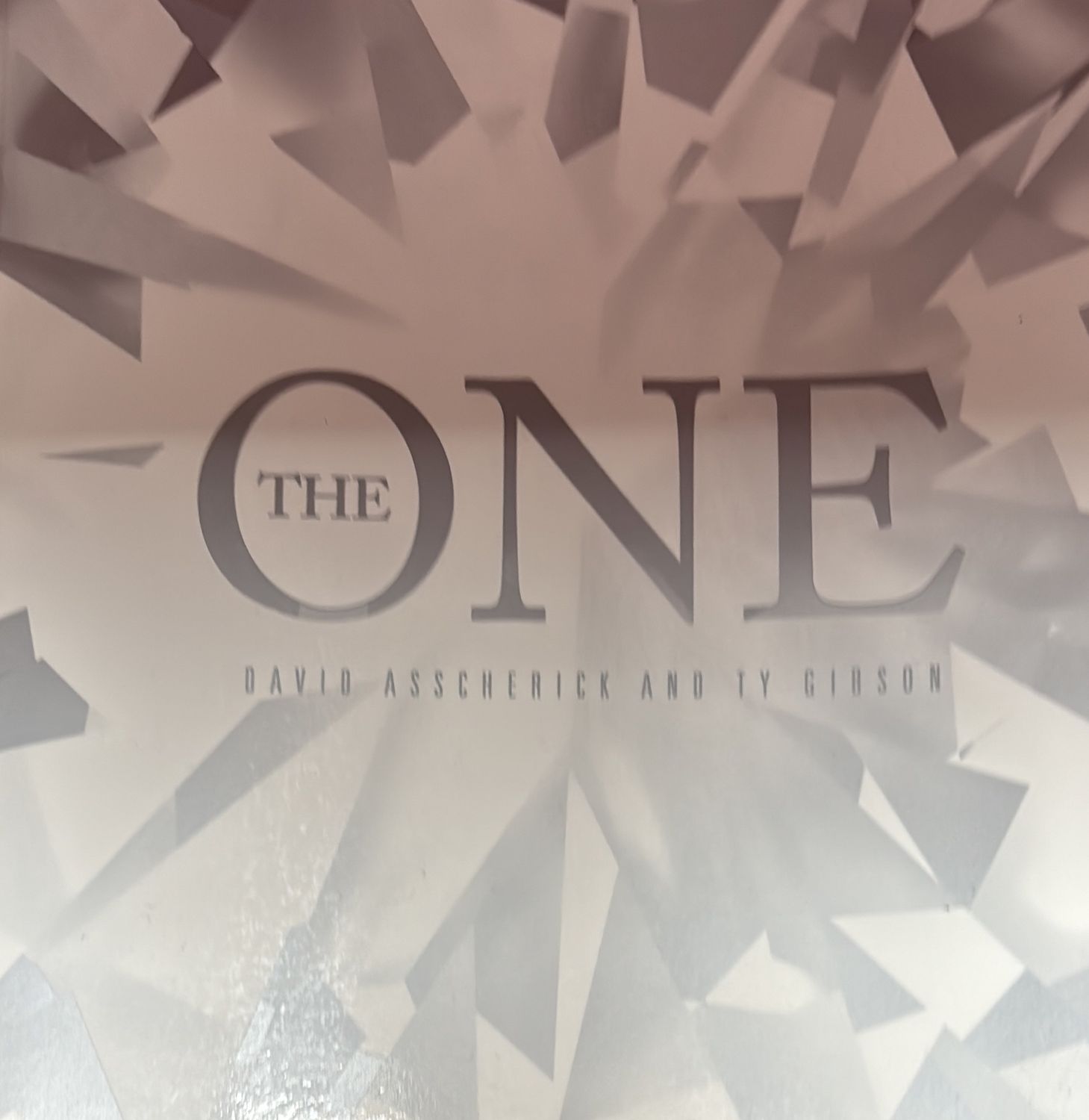 The One - David Asscherick, Ty Gibson