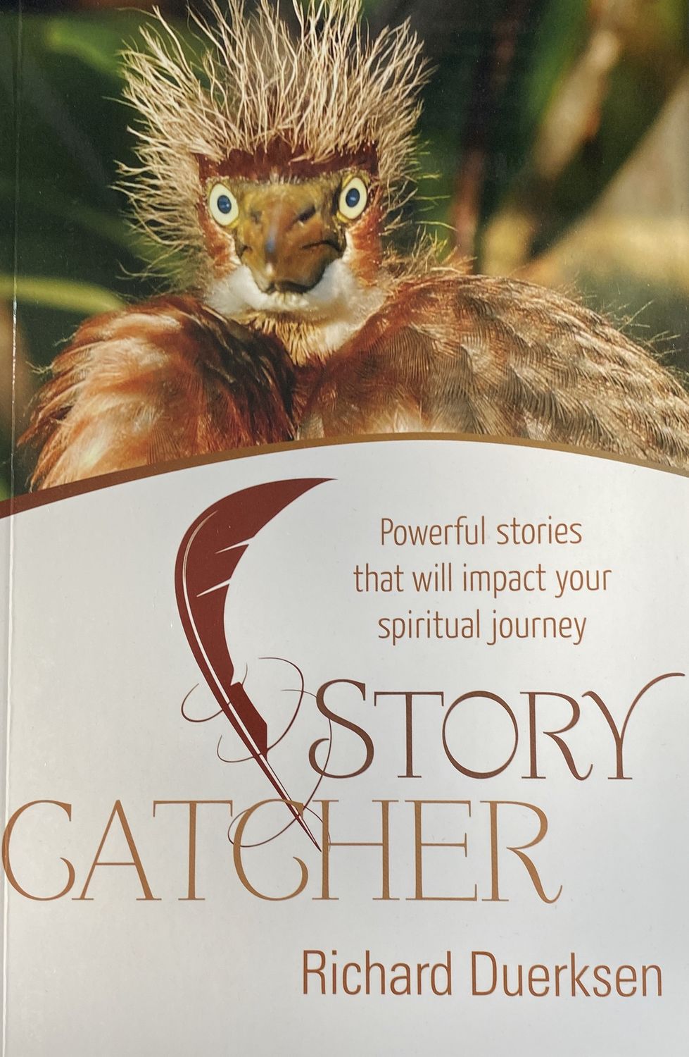 Story Catcher