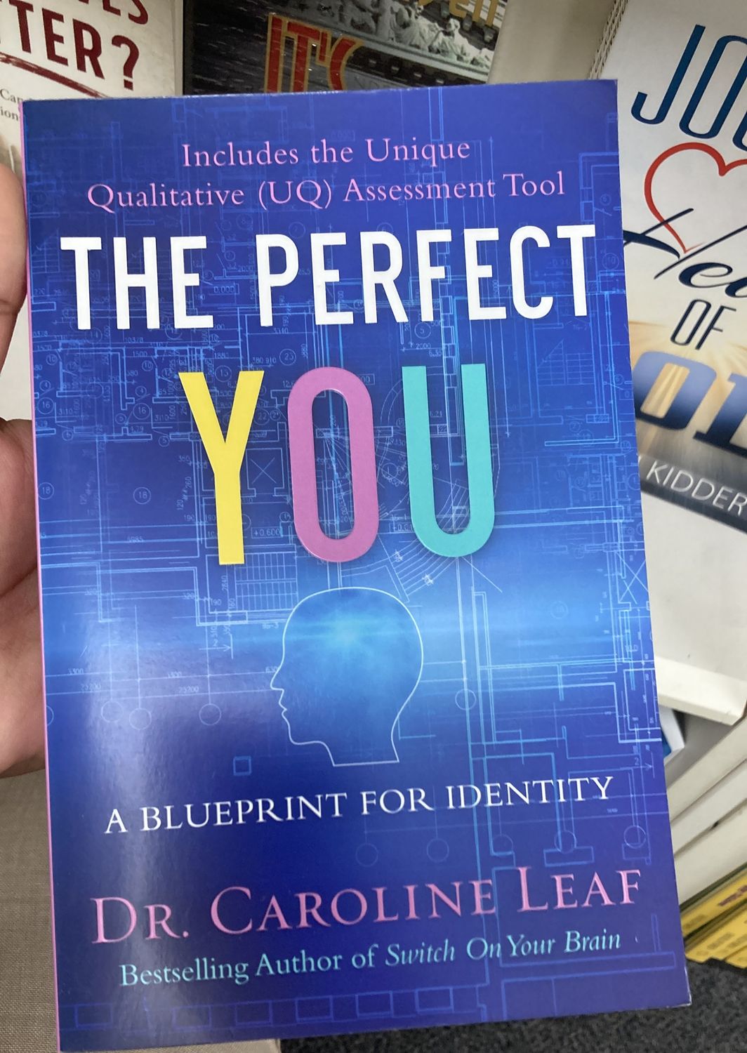 Perfect You: Blueprint for Identity.