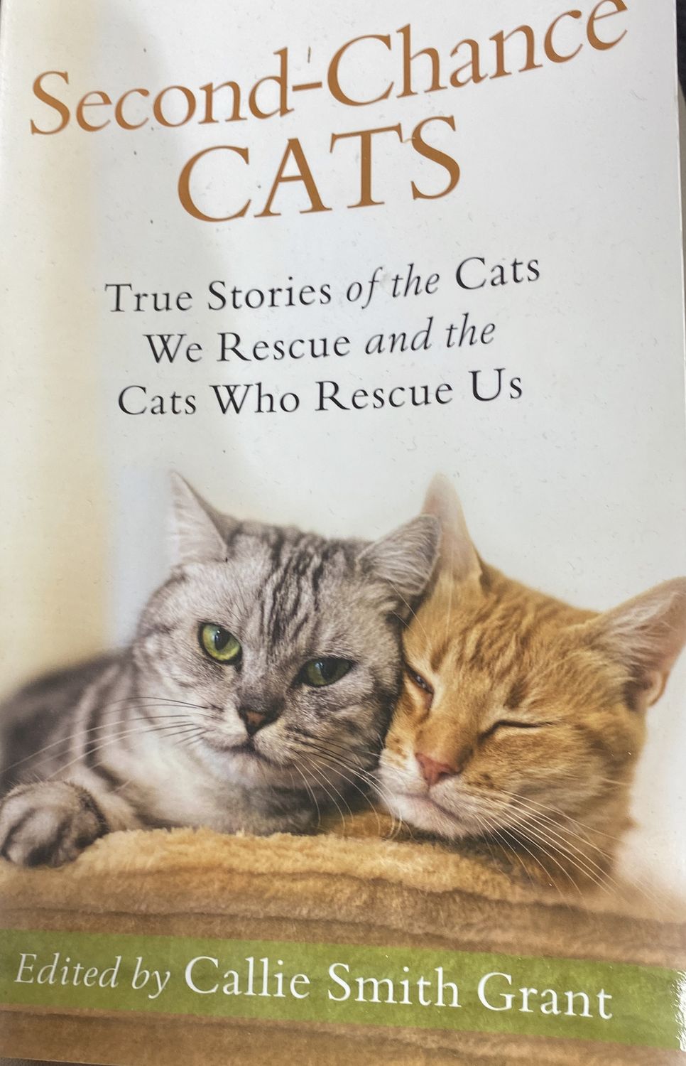 Second-Chance Cats: True Stories