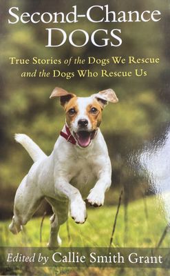 SECOND-CHANCE DOGS