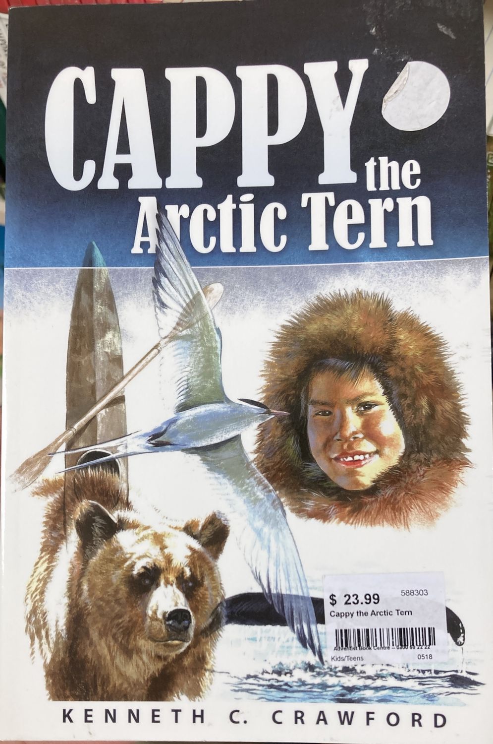 Cappy the Arctic Tern