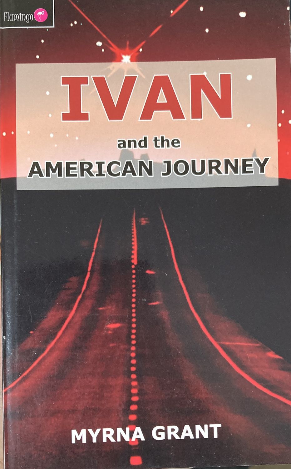 IVAN and the American Journey #6 - Grant