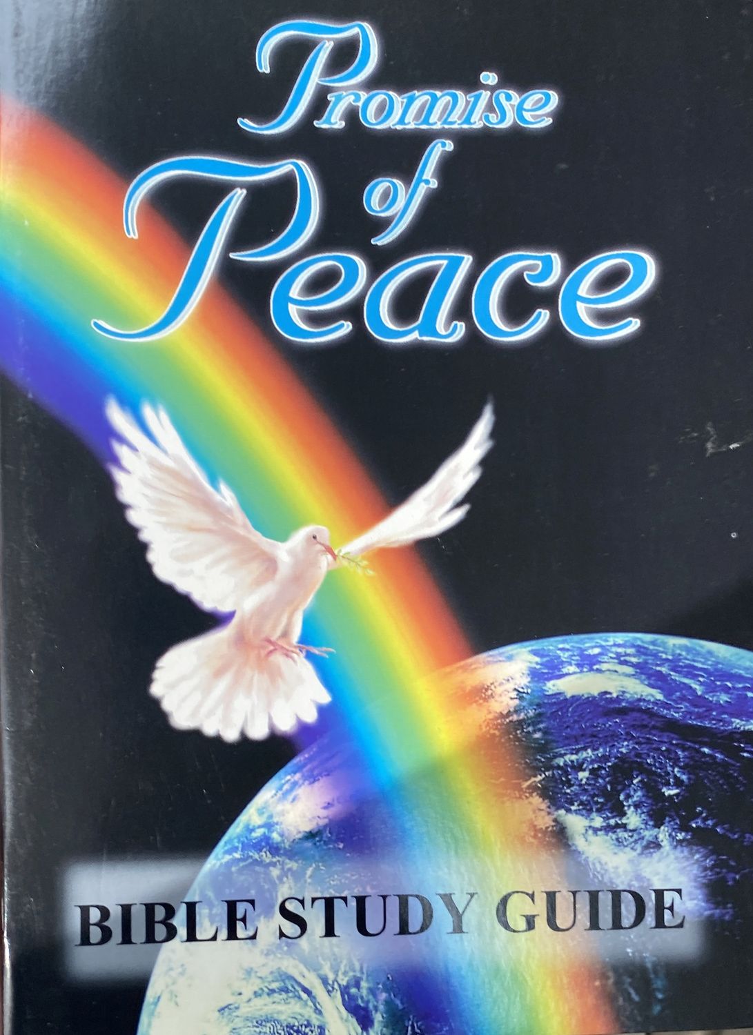 Promise of Peace -Study Guide / Study Guide