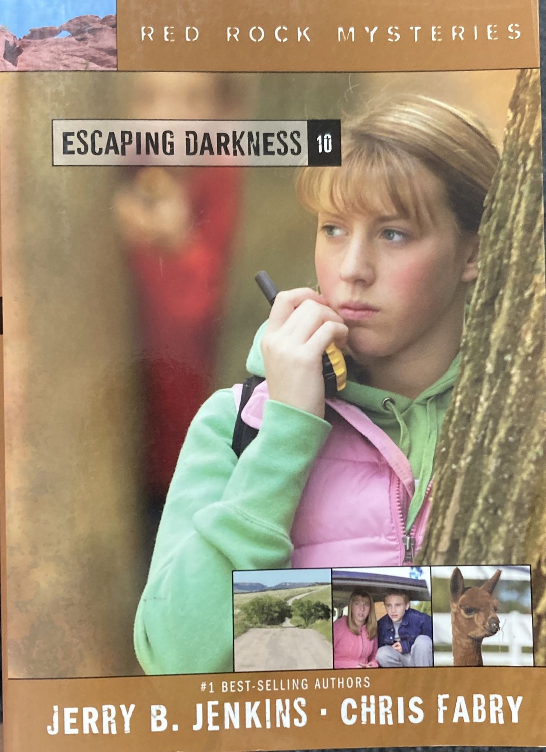 Escaping Darkness #10 RRM