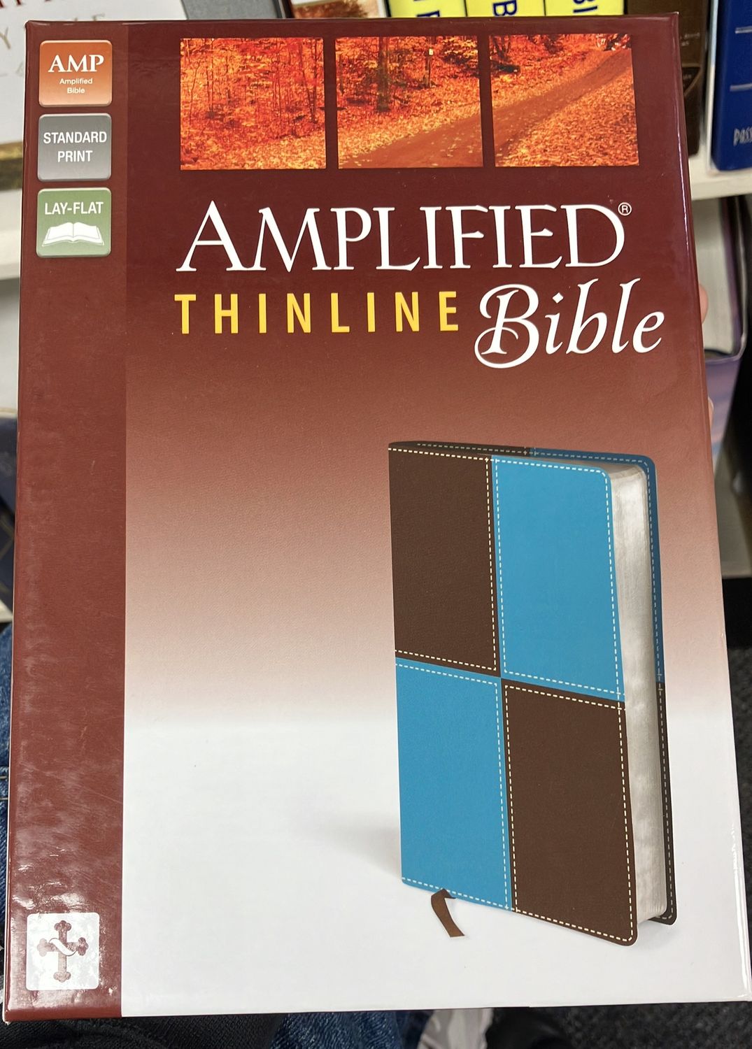 Amplified Bible Thinline Duotone Turq/Ch.