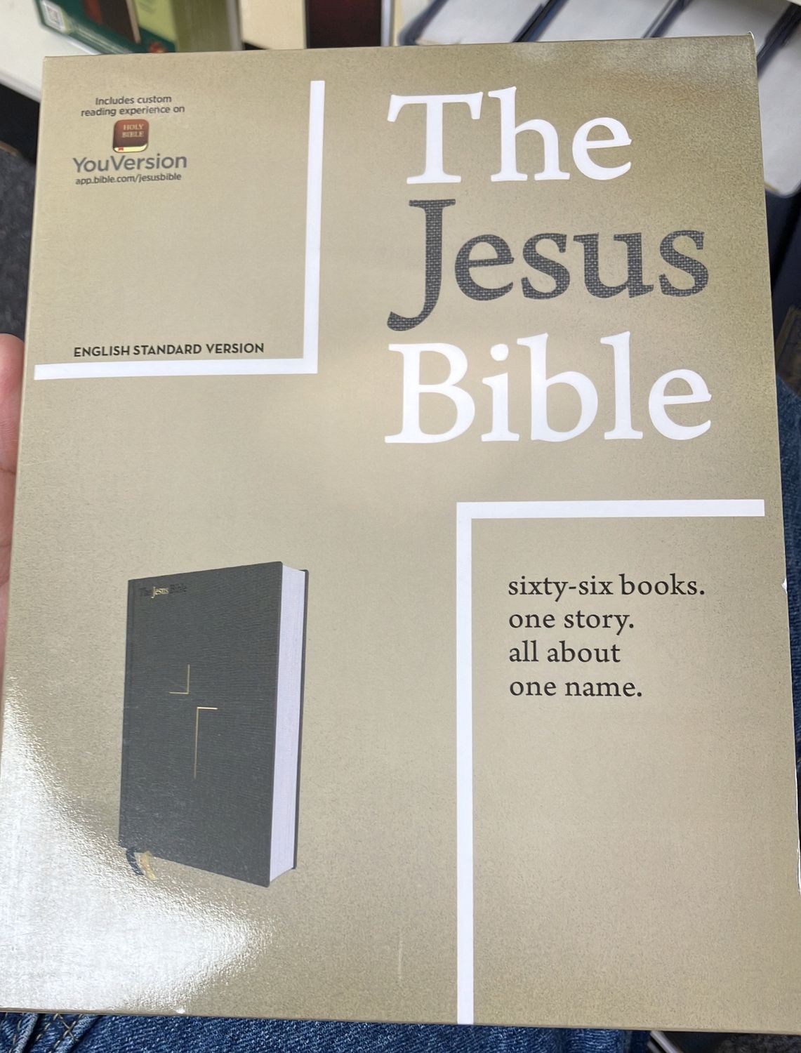 ESV Jesus Bible Grey H/C.