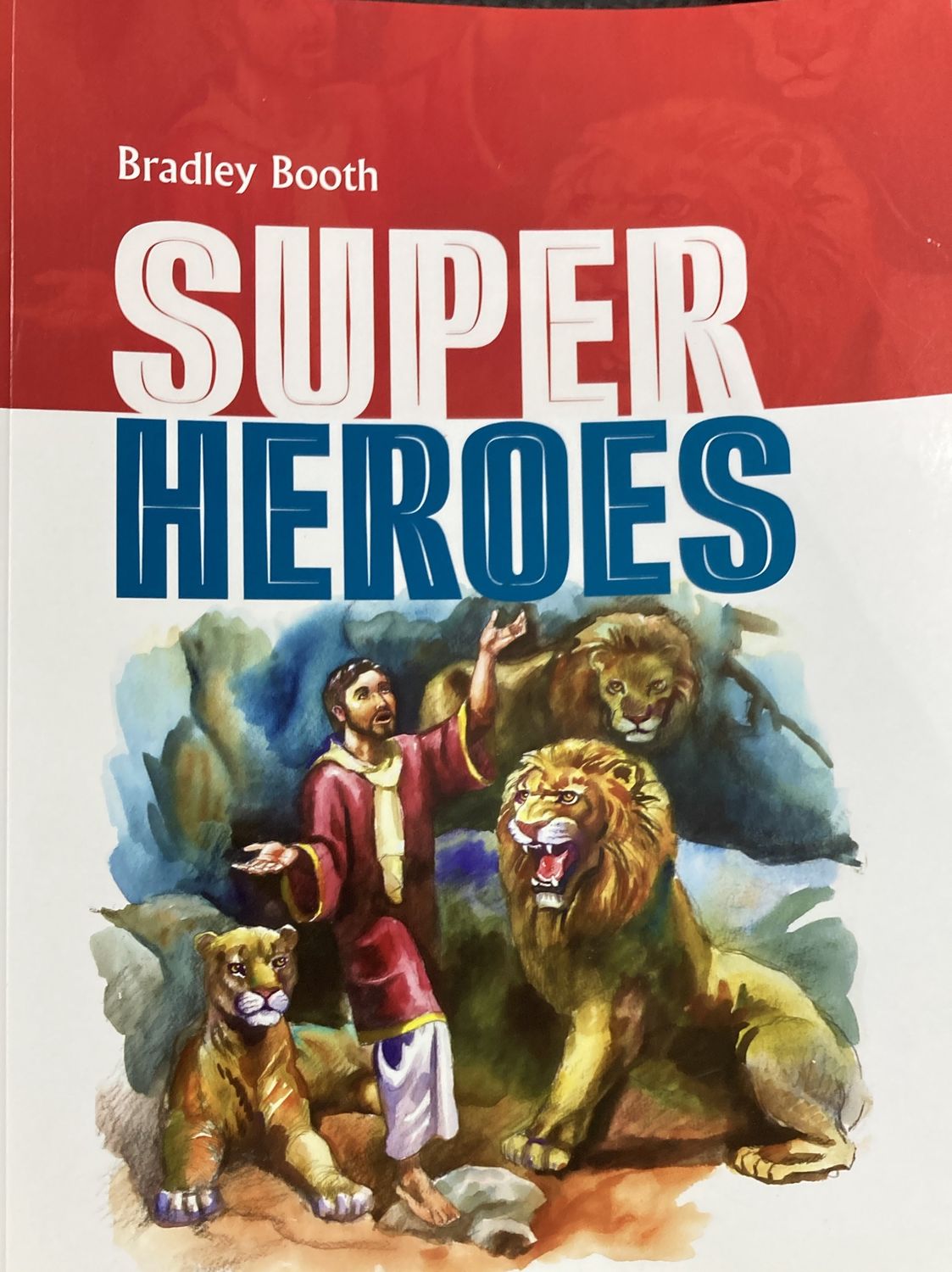 Super Heroes Magabook