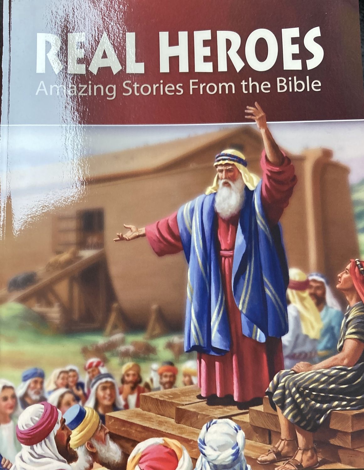 Real Heroes Amazing Stories from the Bib