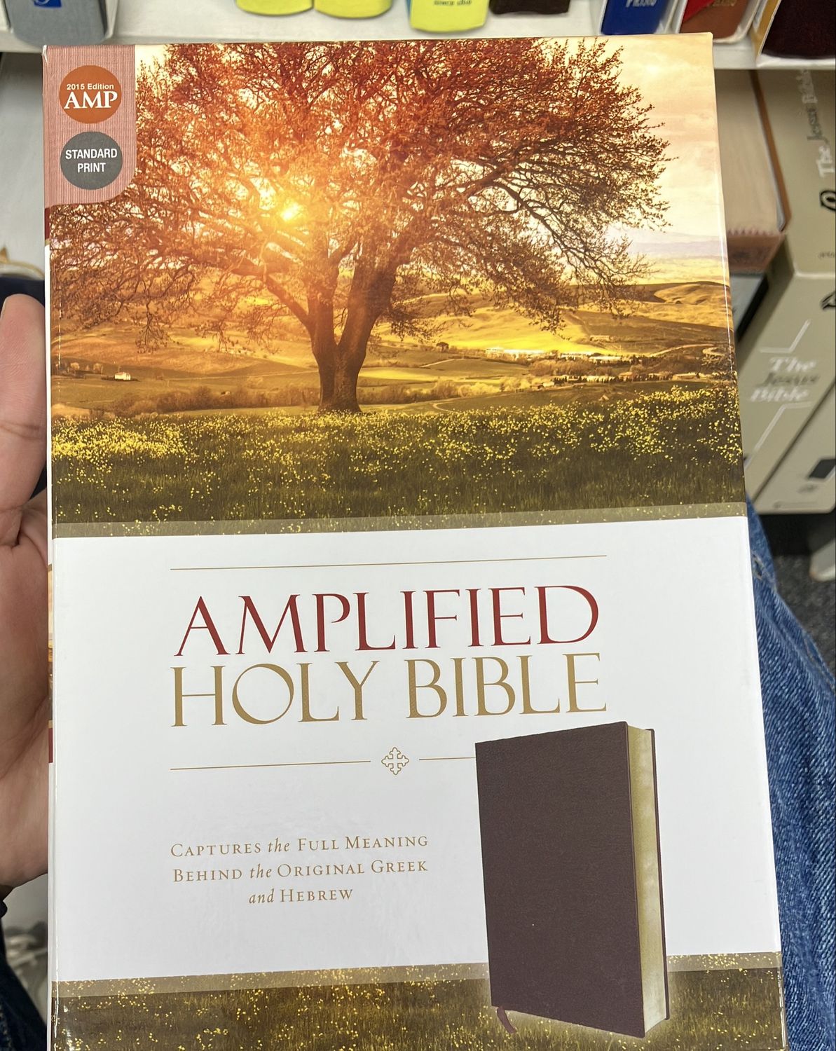Amplified Holy Bible Bonded Leather Burg.