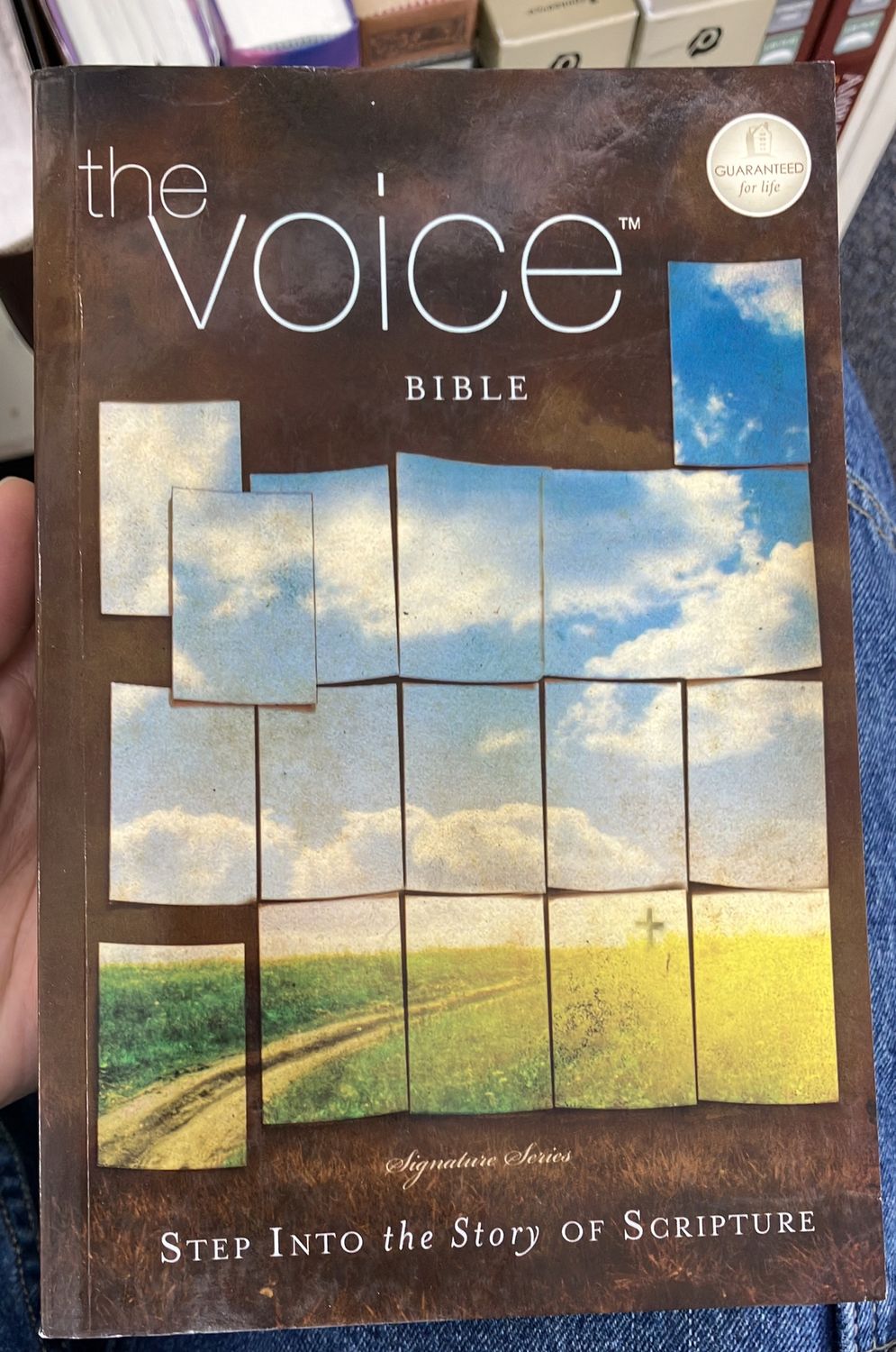 Voice Bible Multicolour P/B.