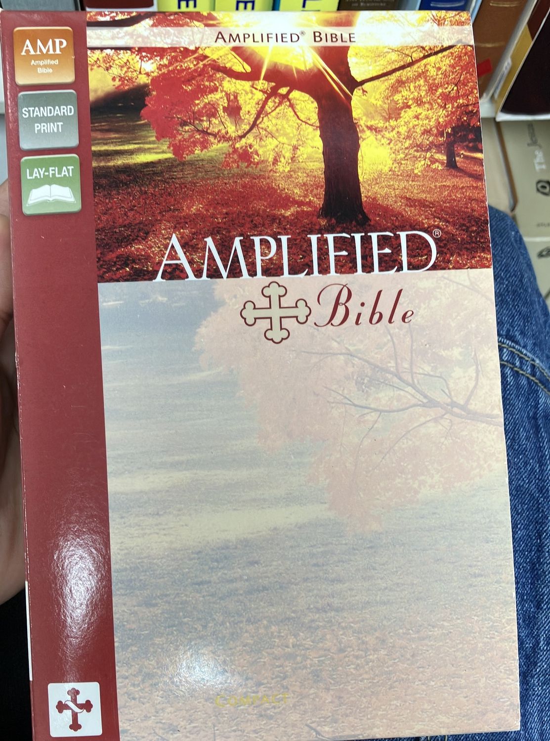 Amplified Bible Duotone Orchid/Deep Plum.