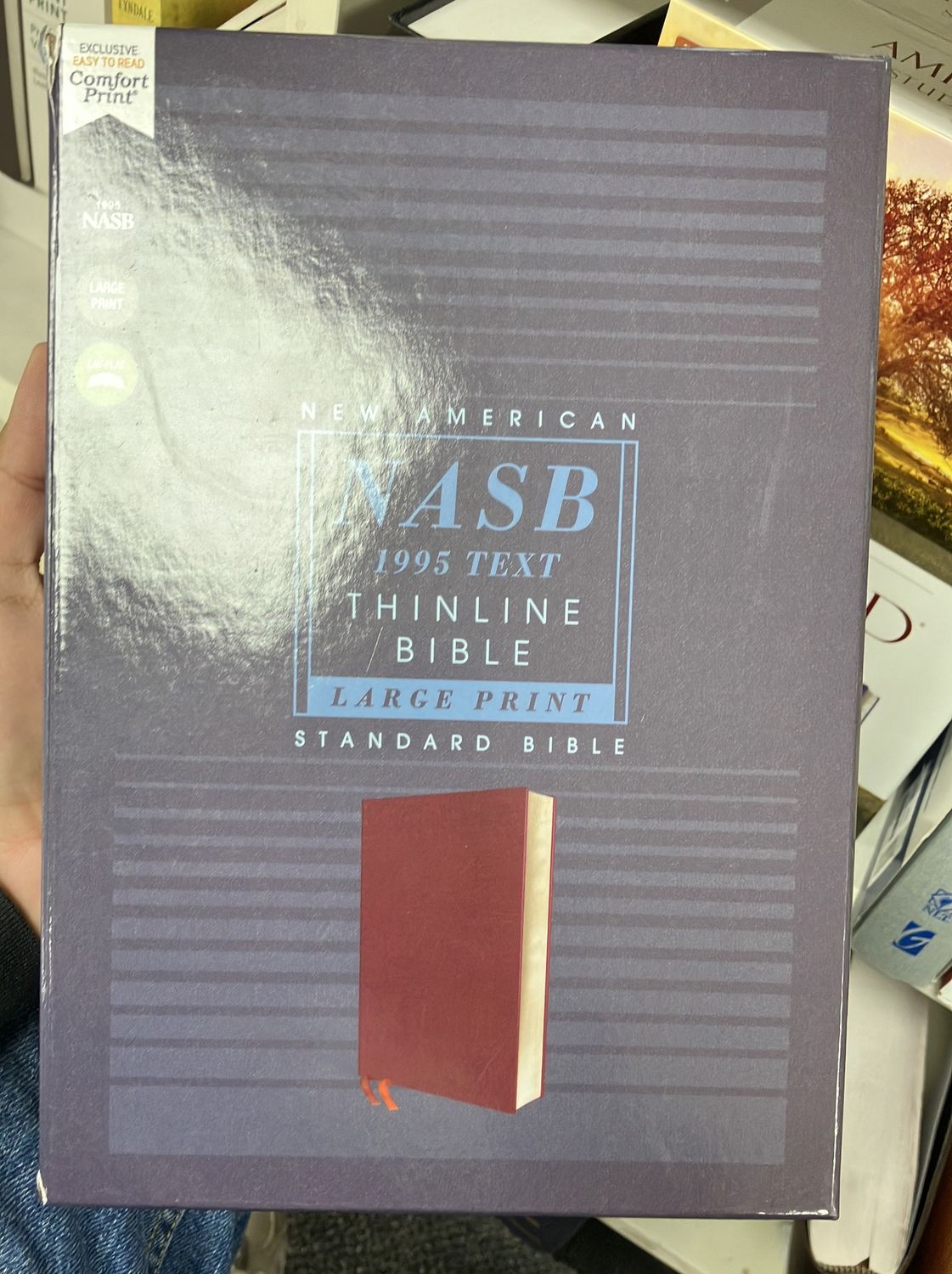 Bible NASB Thinline LGE Print 1995 Burg.