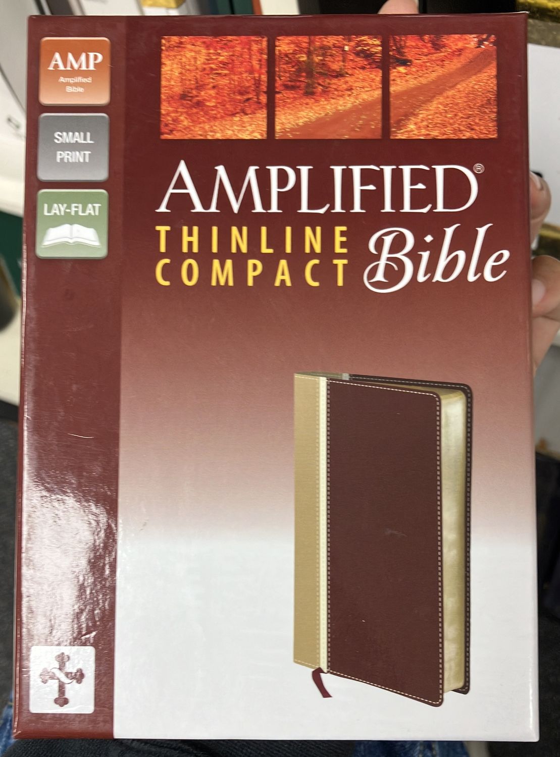 Amplified Bible Thinline Comp Cam/Burg.