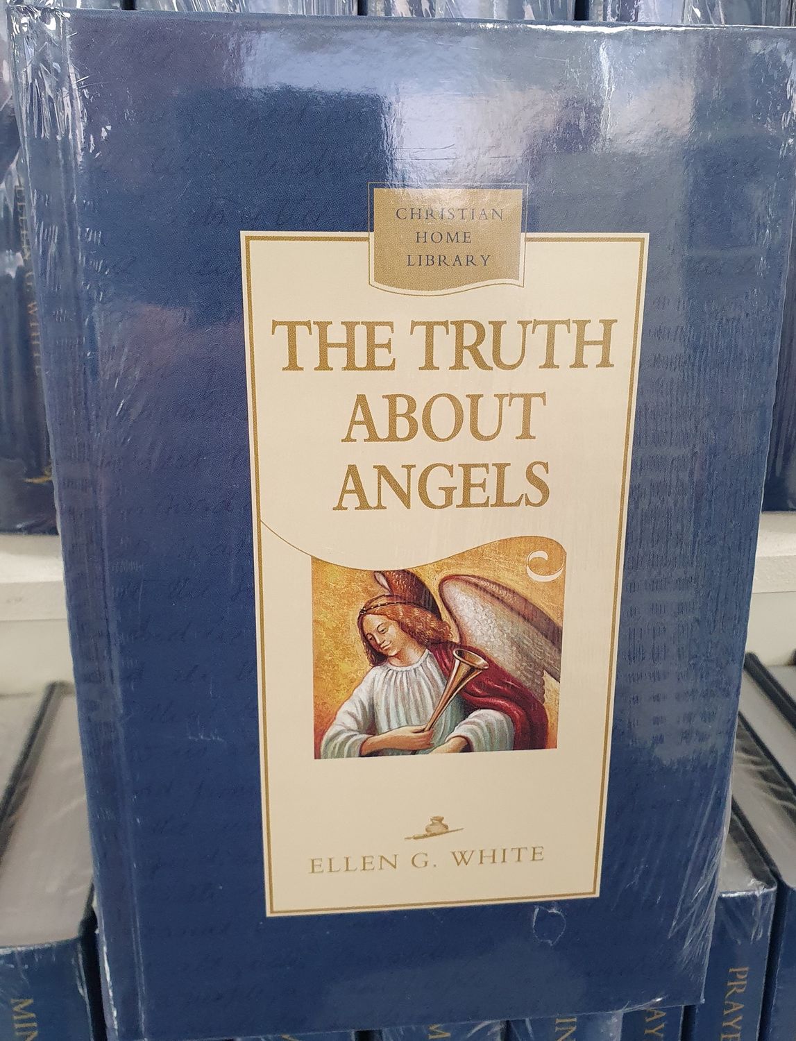 Truth About Angels - HC