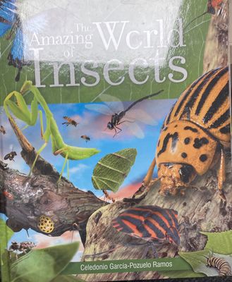 Amazing World of Insects