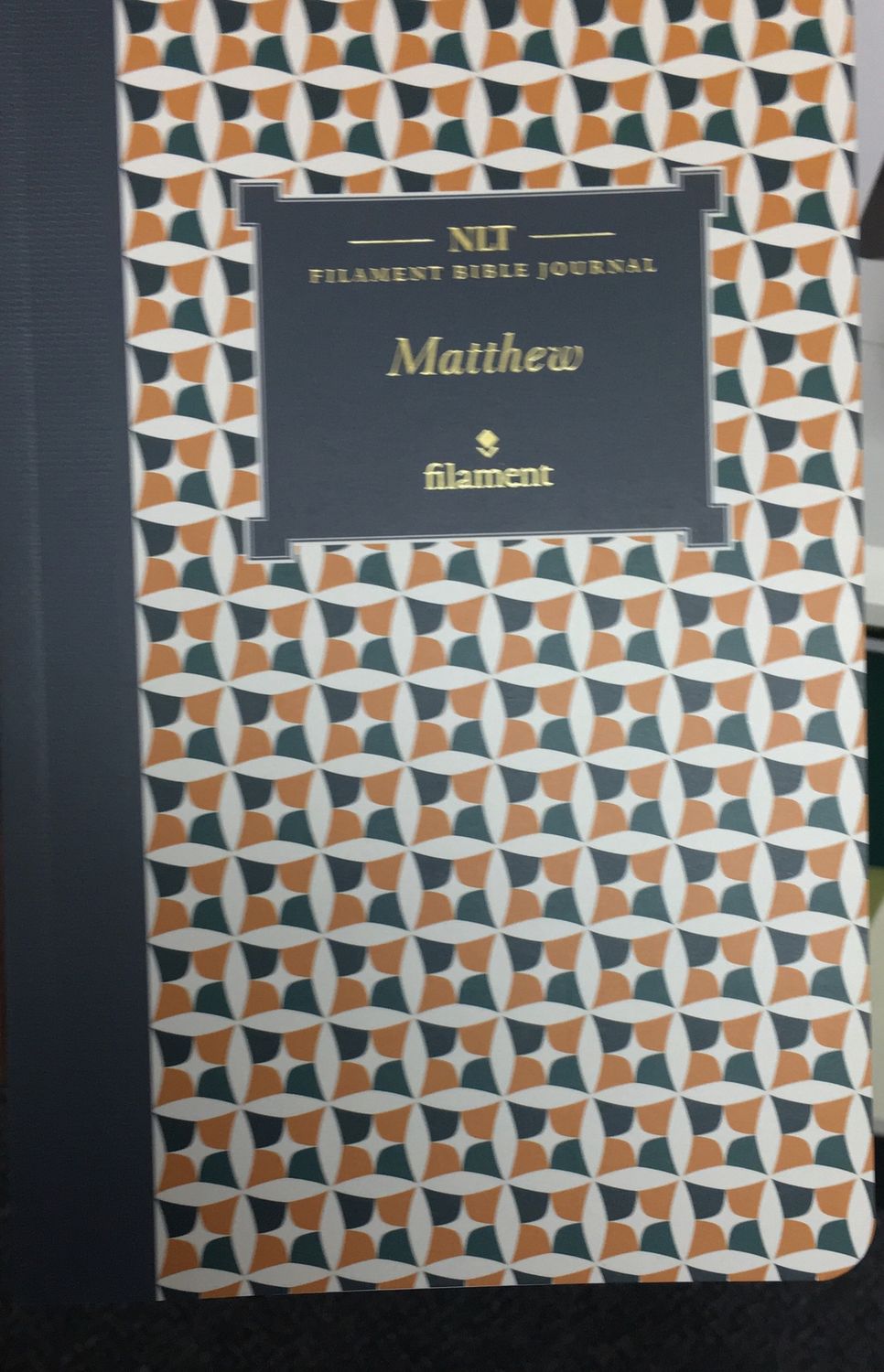 NLT Filament Bible Journal Mathew