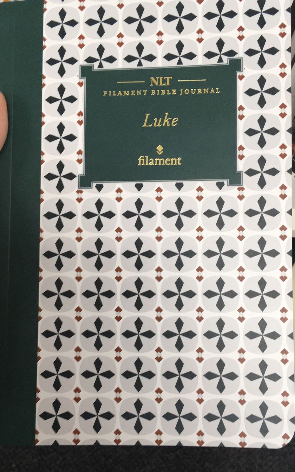 NLT Filament Bible Journal Luke.