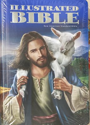 Children&#39;s Illustrated Bible (Safeliz)