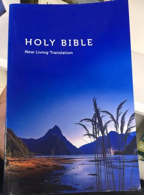NLT Bible Mitre Peak PB.