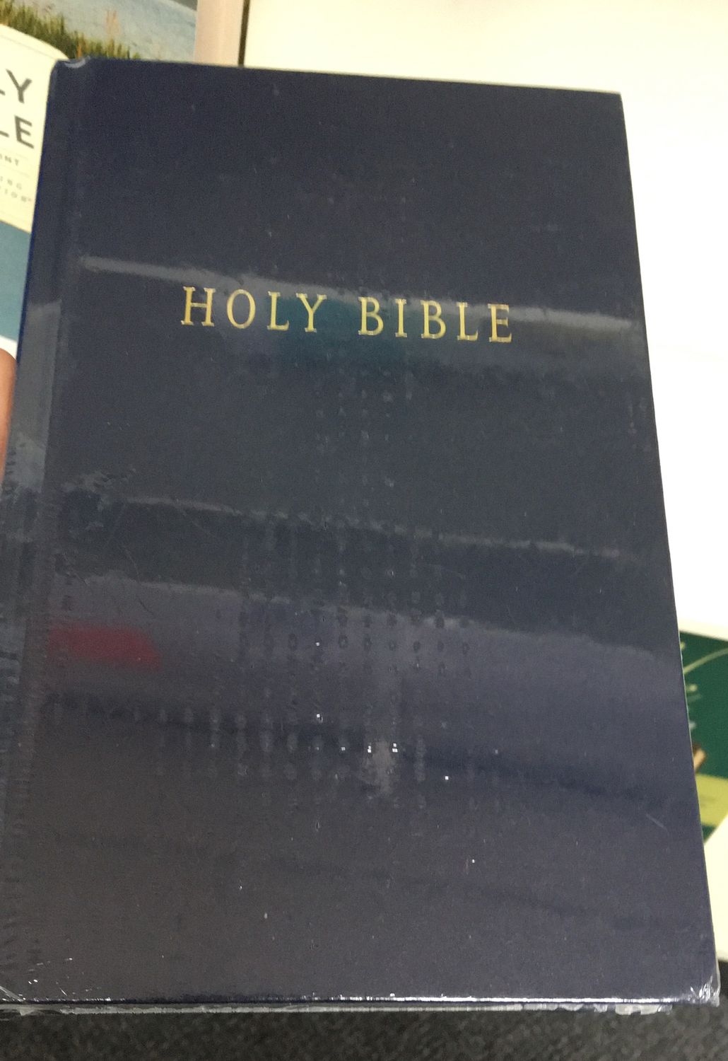 Bible NLT Pew Blue Cloth