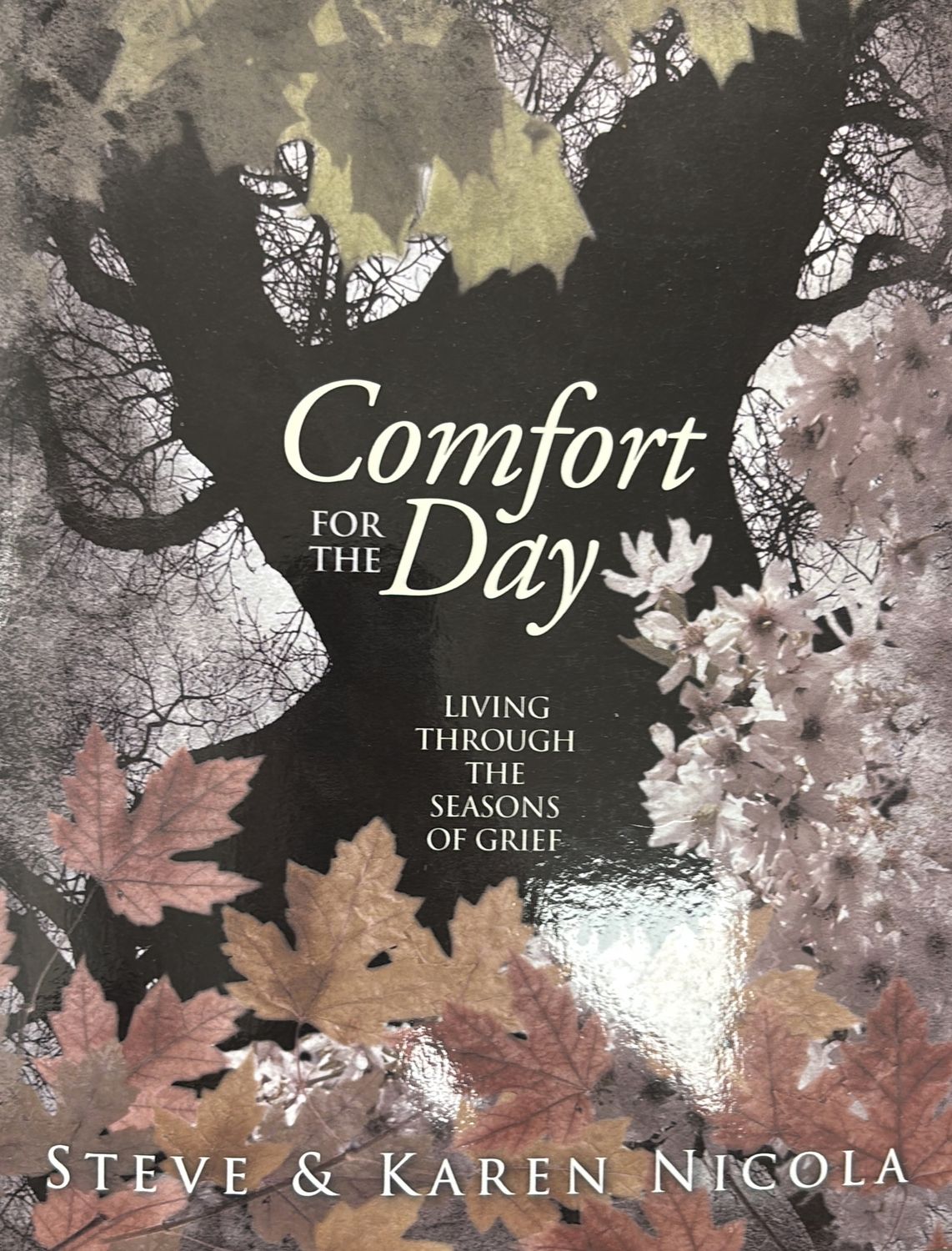 Comfort for the Day