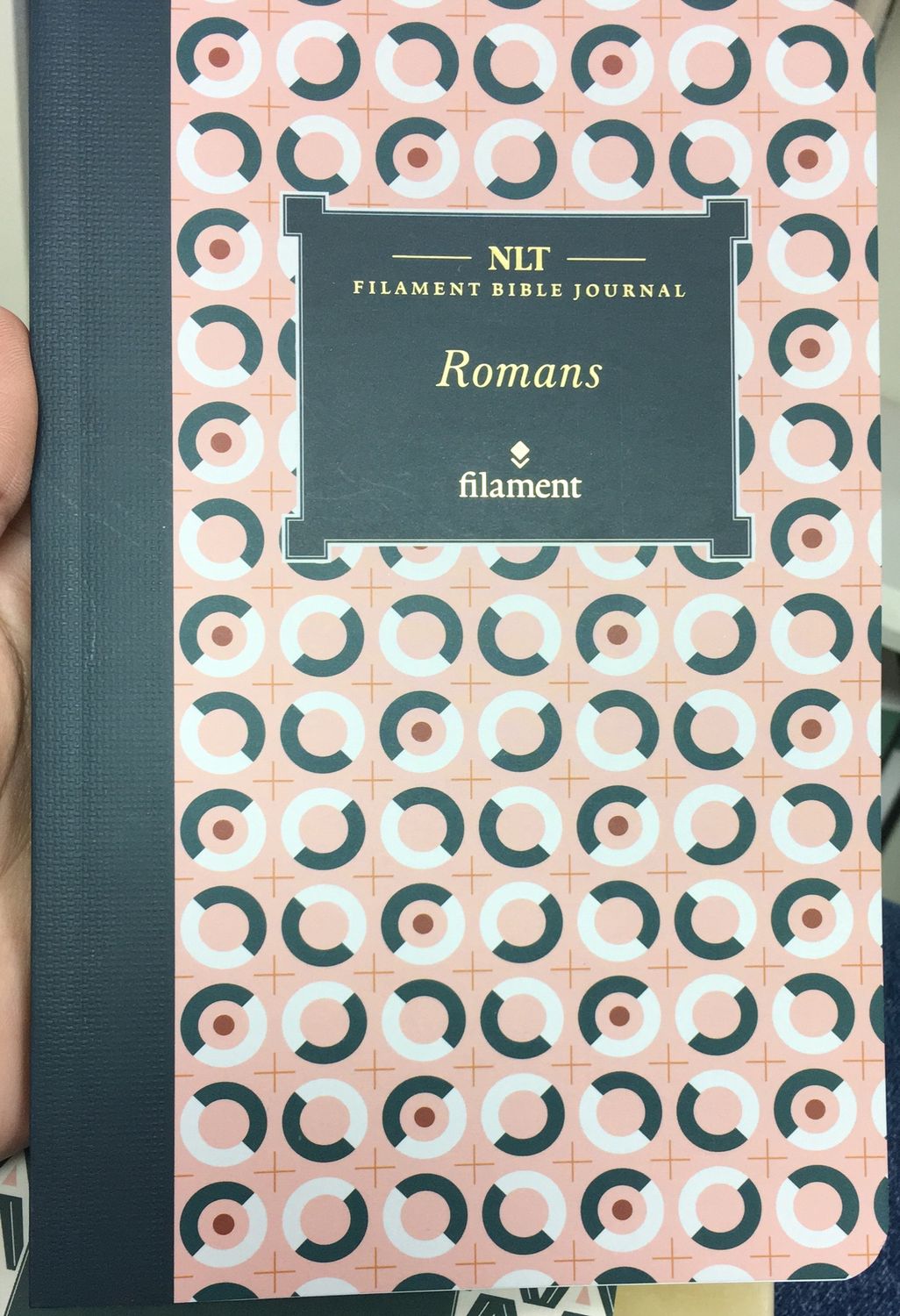 NLT Filament Bible Journal - Romans 