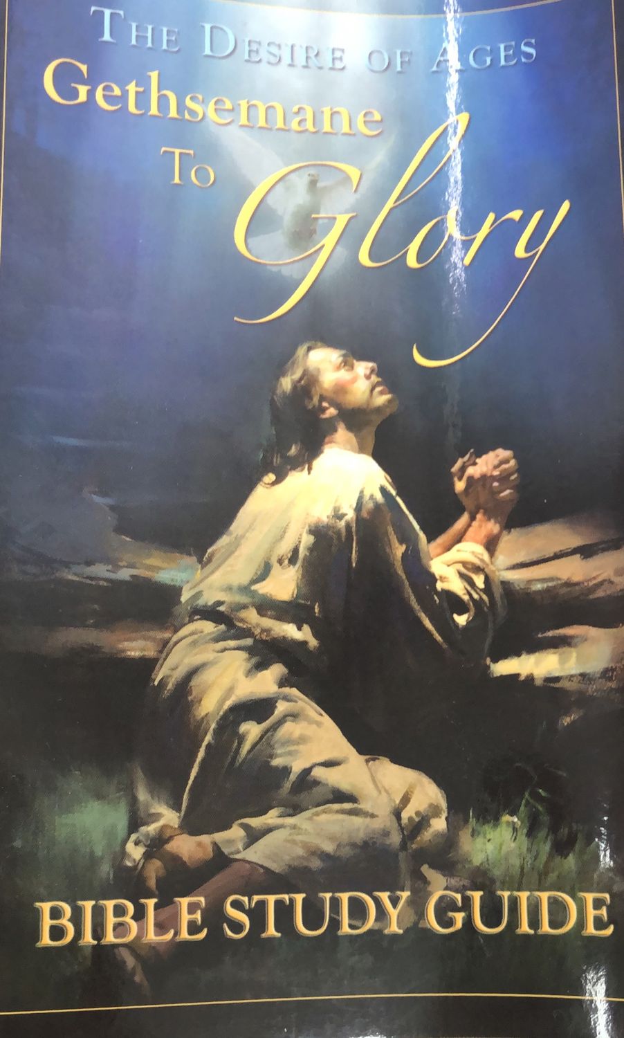 Desire of Ages -EGW Study Guide / Study Guide
