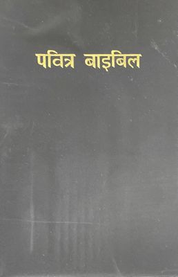 Hindi Bible Contemporary Language