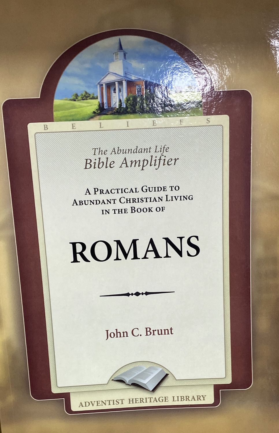 Abundant Life Bible Amplifer - Romans