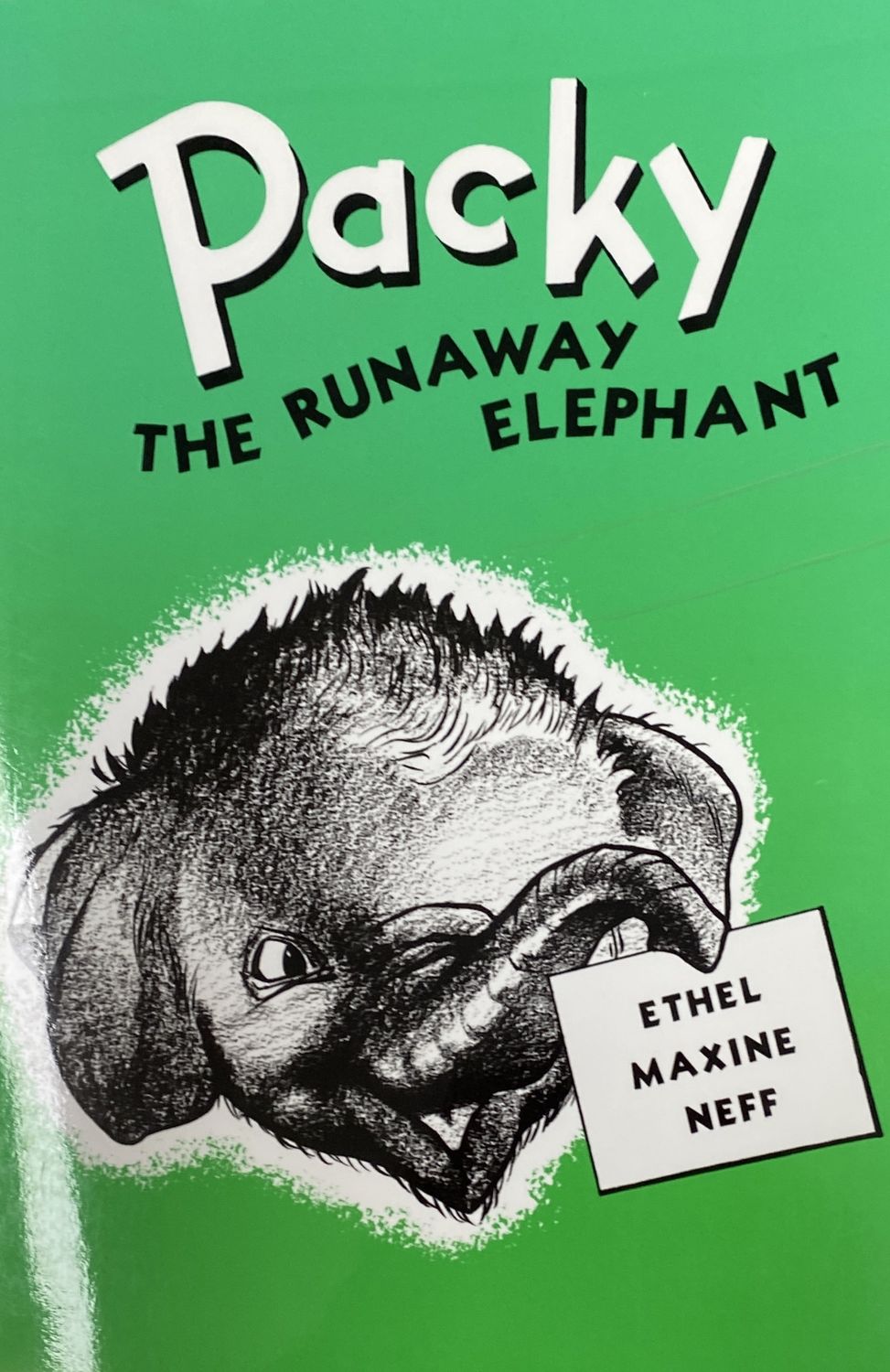Packy the Runaway Elephant