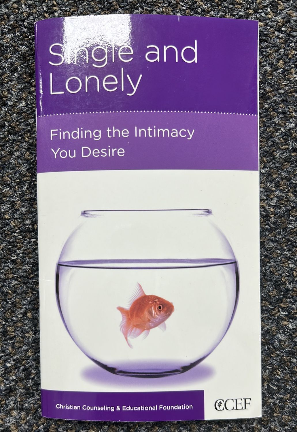 OOP CCEF Singles: Single and Lonely