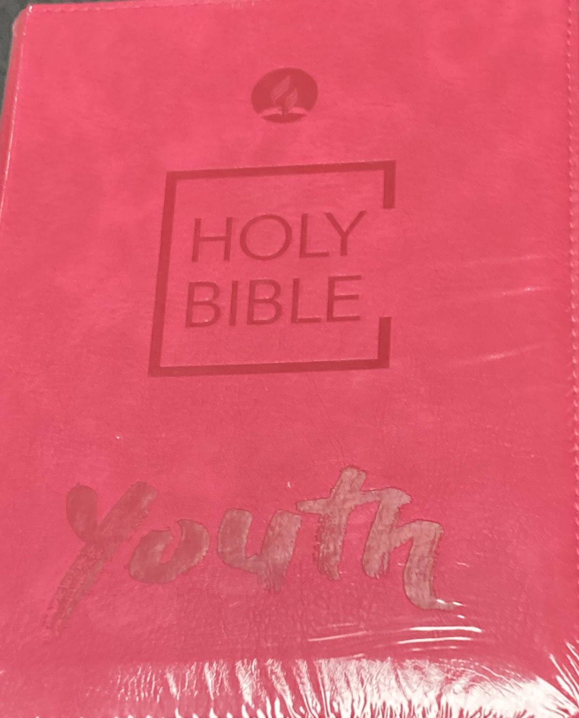 NKJV Youth Bible Pink