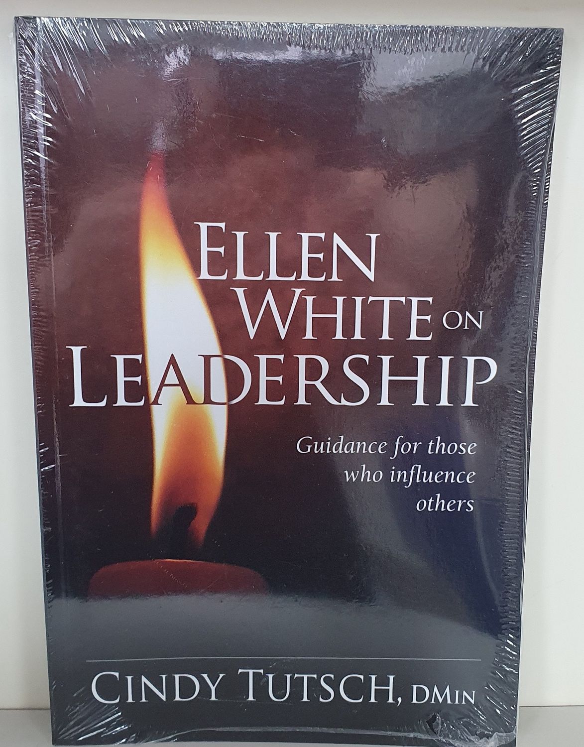 Ellen White on Leadership - Guidance for those who influence others
