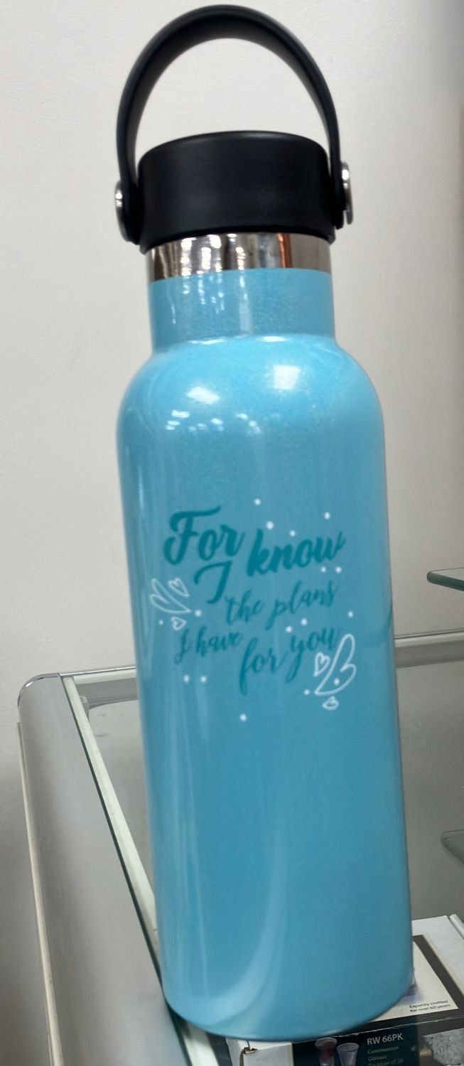 Thermos Bottle I know the Plans Blue SS.