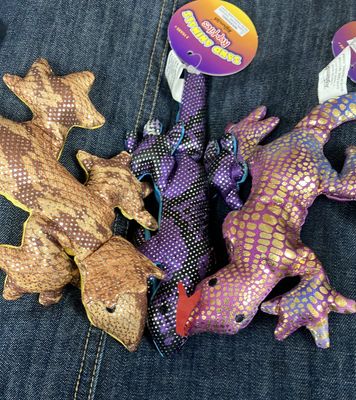 Sand Animal Reptiles.