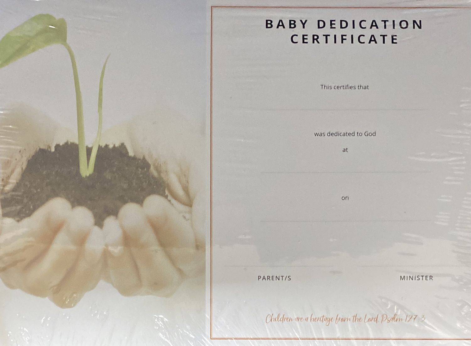 CERTIFICATE BABY DEDICATION (PLANT)