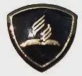 Pathfinder Baptism Badge