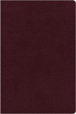 NIV Reference Bible Giant Print Burgundy Indexed B/L