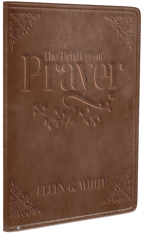 Privilege of Prayer