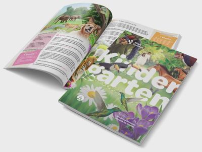 Qt1 Kindergarten Teacher AIJ