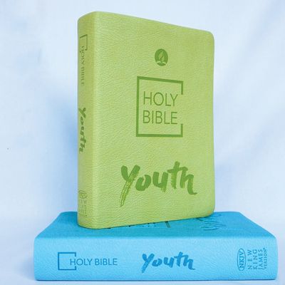 NKJV Youth Bible - Blue