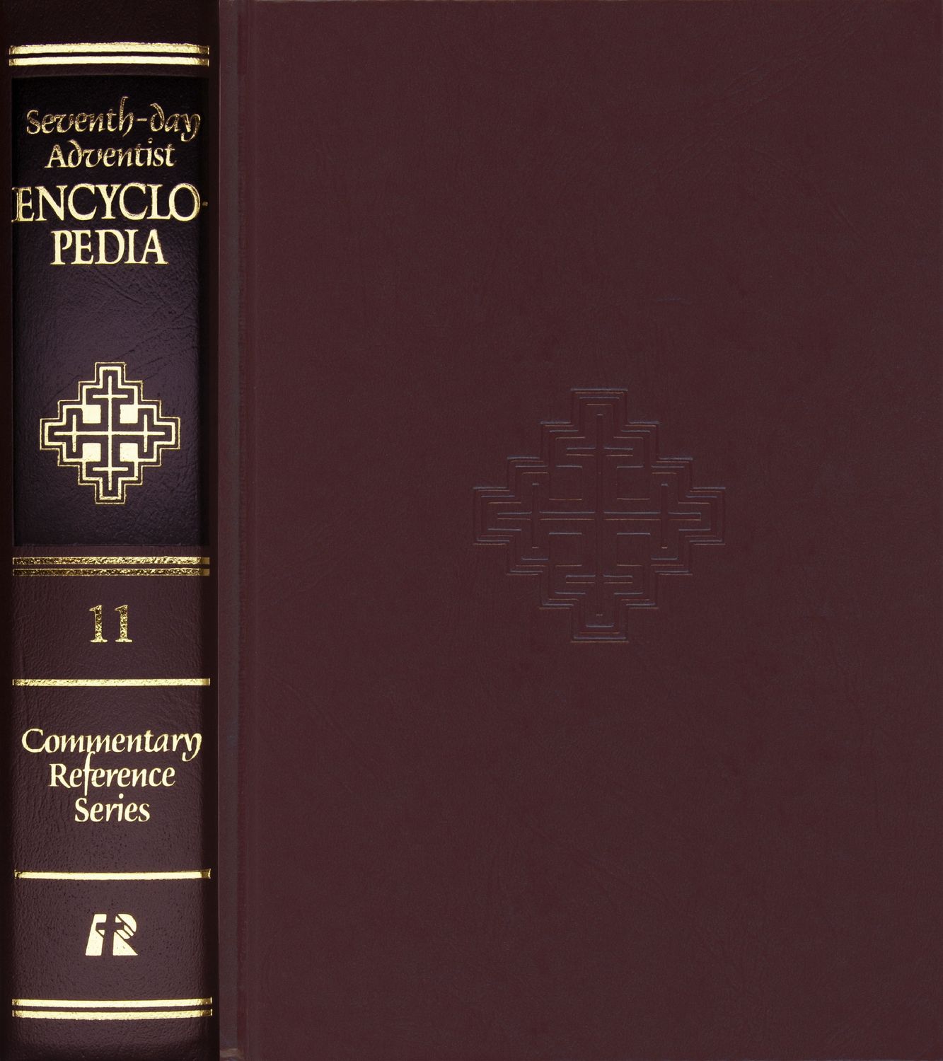 Bible Commentary V11