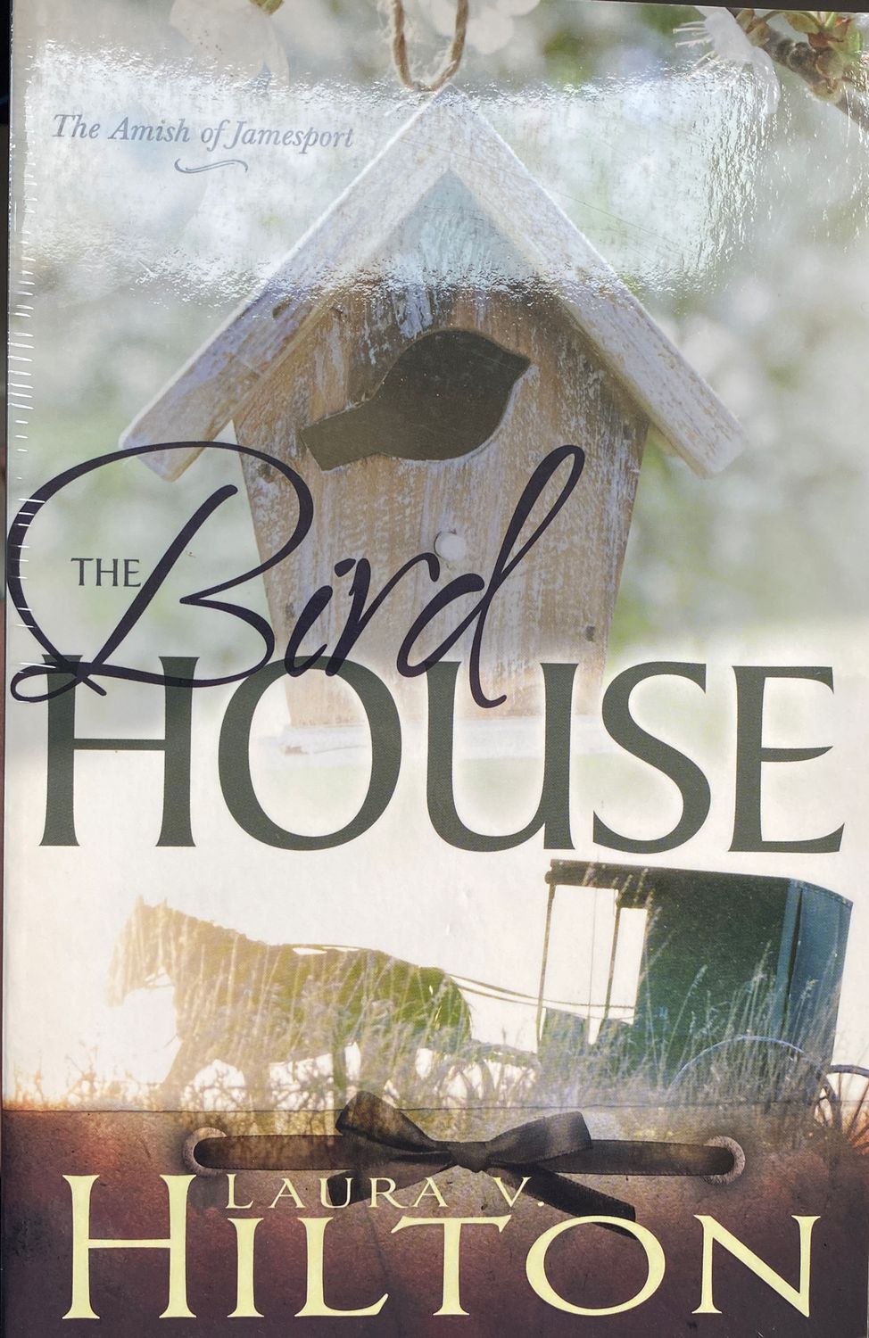 Birdhouse (Amish Jamesport #3)