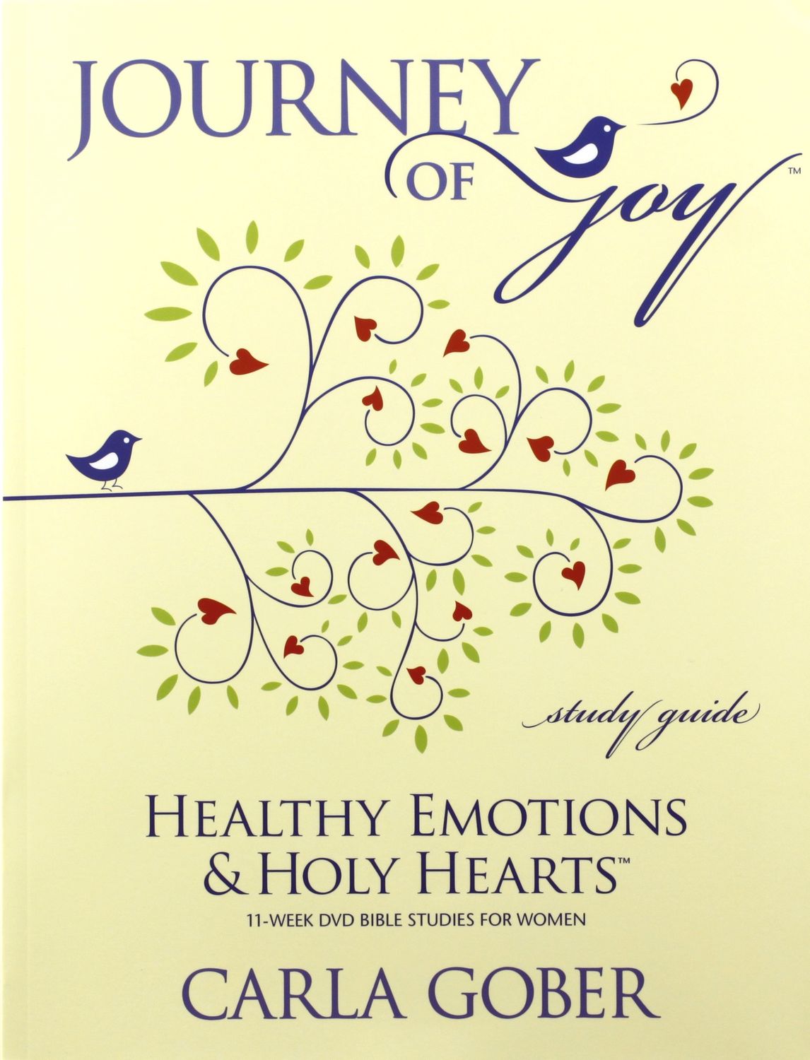 Journey of Joy Study Guide