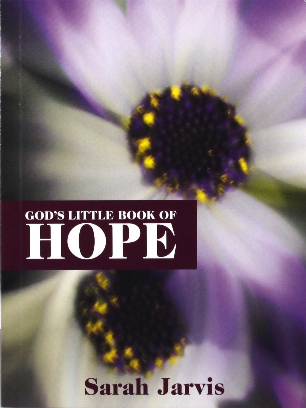 LITTLE- God's Book of Hope