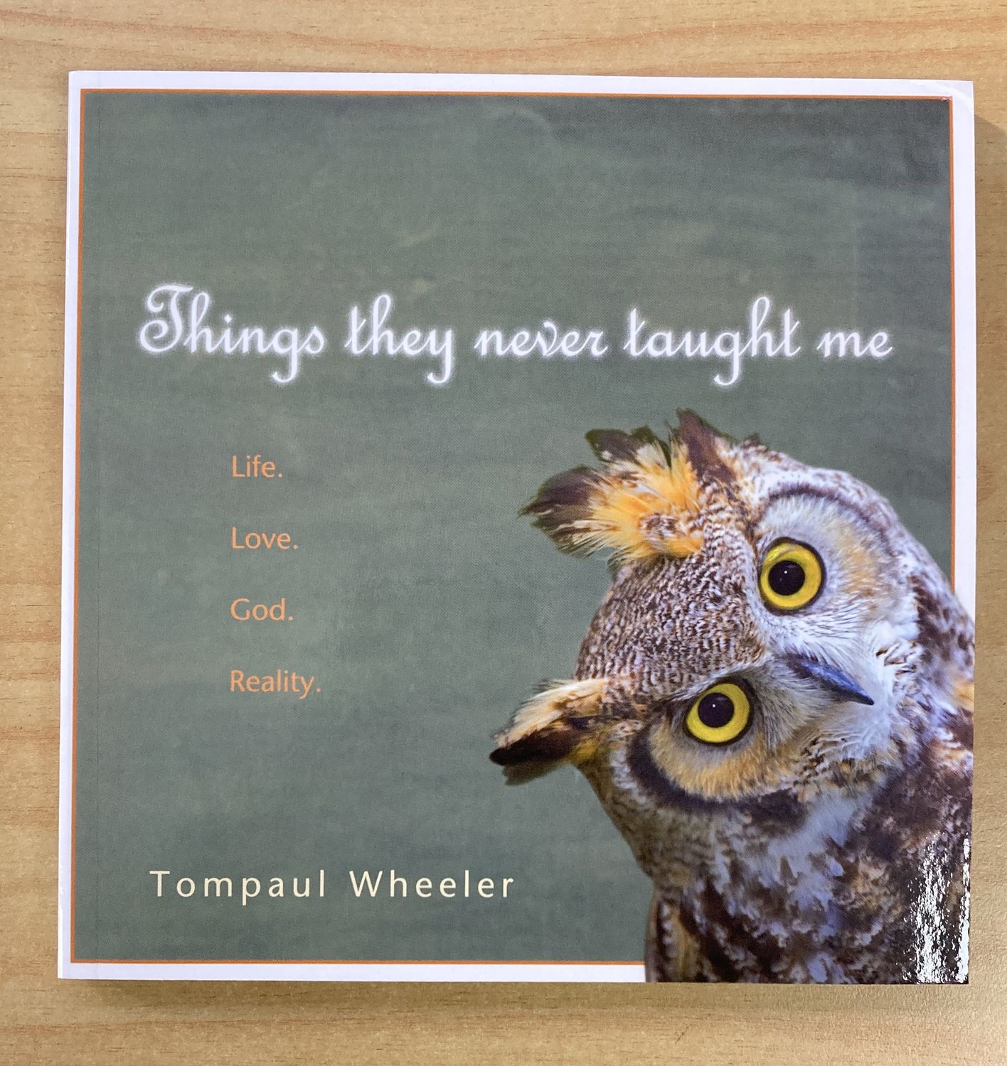 Things They Never Taught Me YA Devo