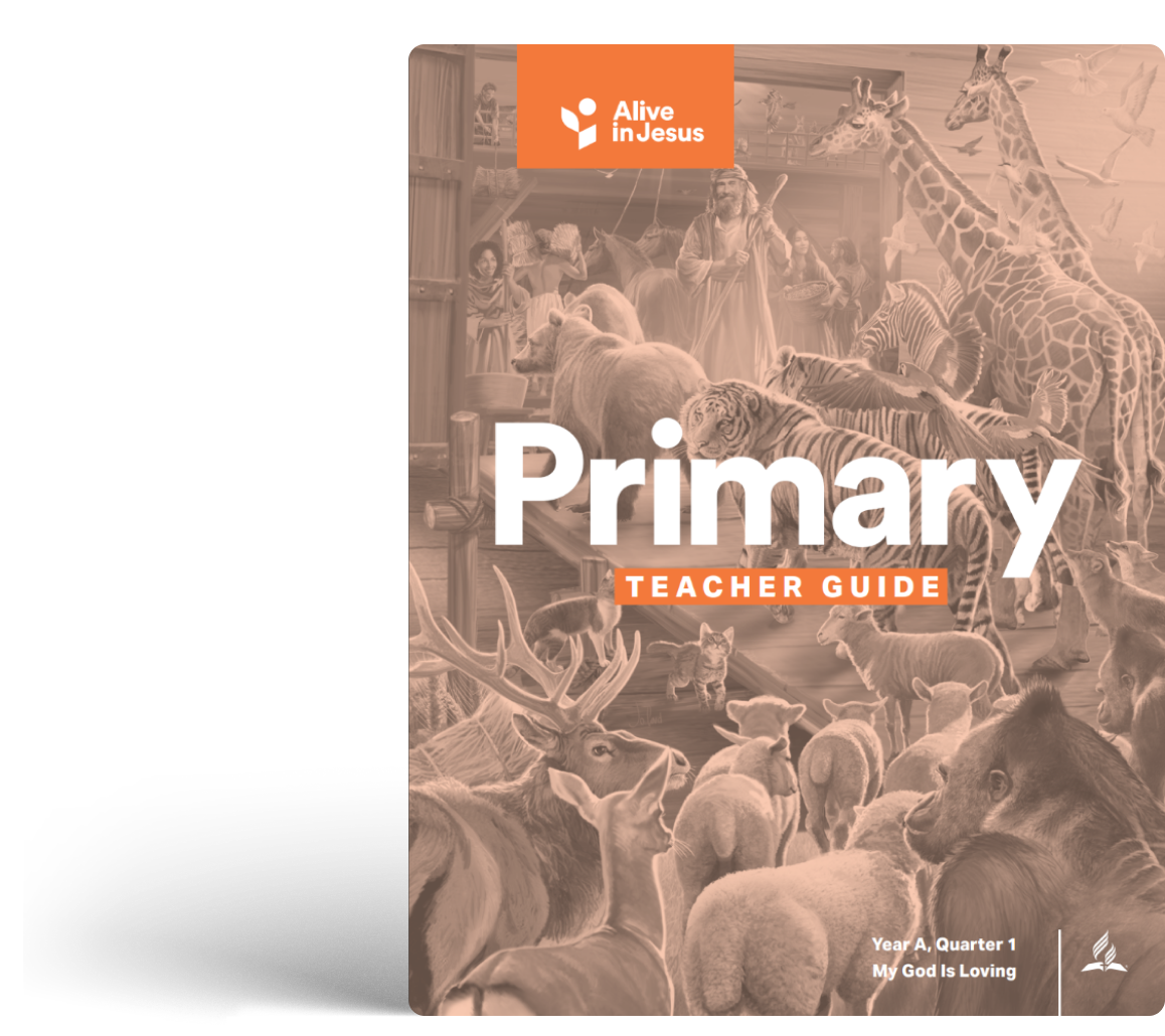 QT3 Primary Teacher AIJ